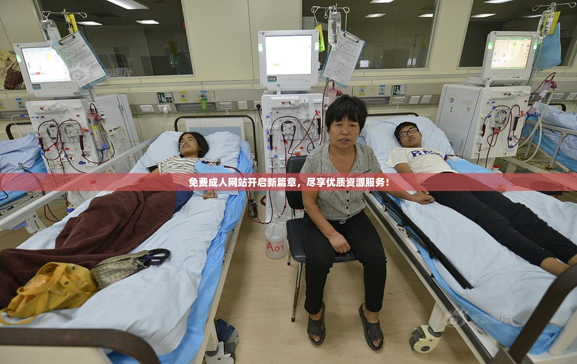 免费成人网站开启新篇章，尽享优质资源服务！