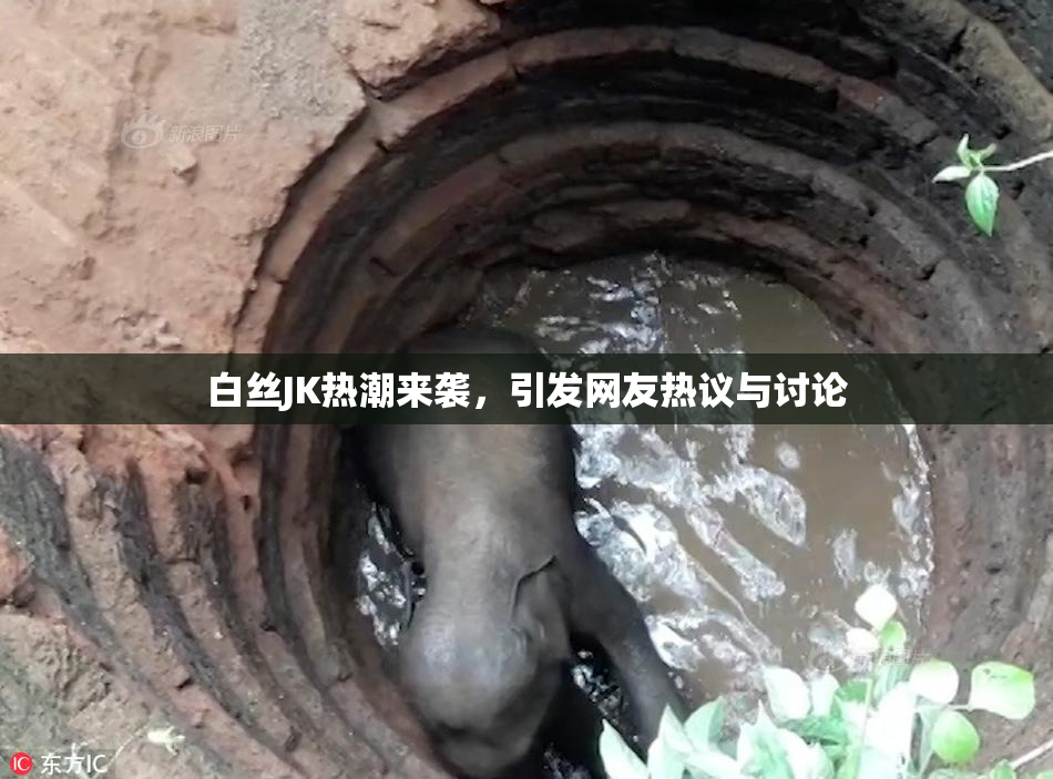 白丝JK热潮来袭，引发网友热议与讨论