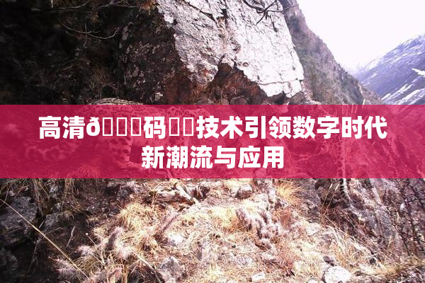 高清🈚码❌‌技术引领数字时代新潮流与应用