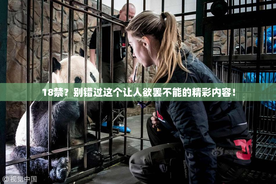 18禁？别错过这个让人欲罢不能的精彩内容！