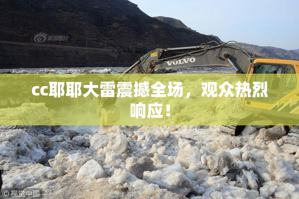 cc耶耶大雷震撼全场，观众热烈响应！