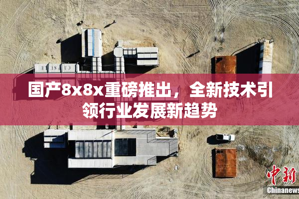 国产8x8x重磅推出，全新技术引领行业发展新趋势