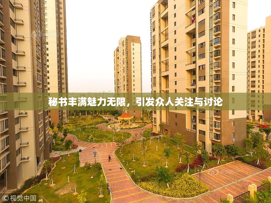秘书丰满魅力无限，引发众人关注与讨论