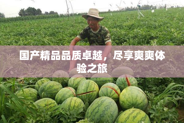 国产精品品质卓越，尽享爽爽体验之旅