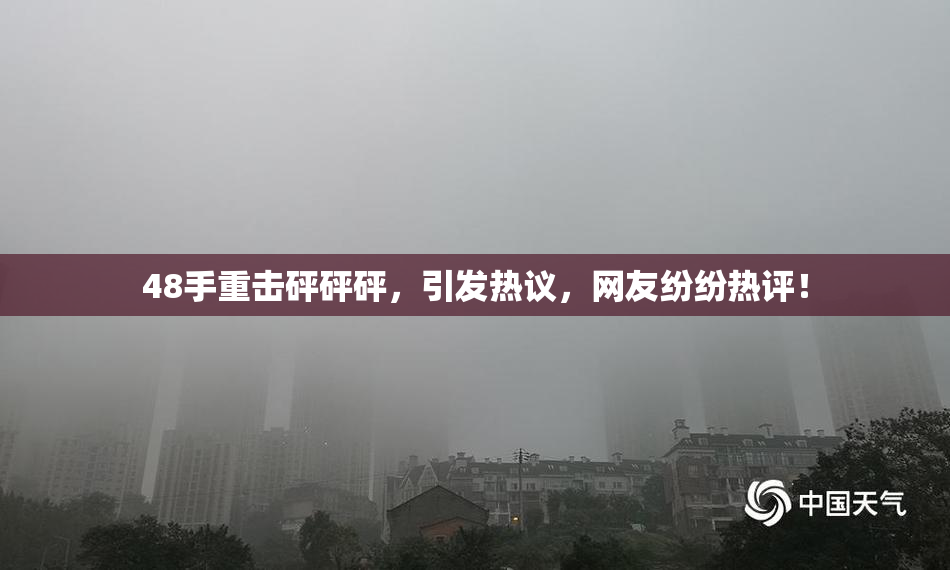 48手重击砰砰砰，引发热议，网友纷纷热评！