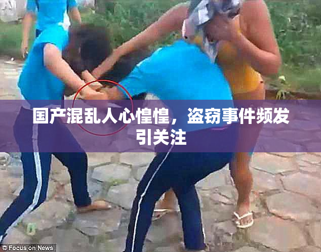 国产混乱人心惶惶，盗窃事件频发引关注
