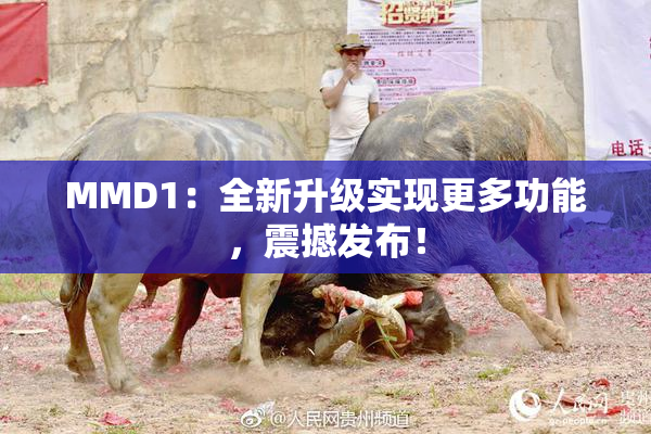 MMD1：全新升级实现更多功能，震撼发布！