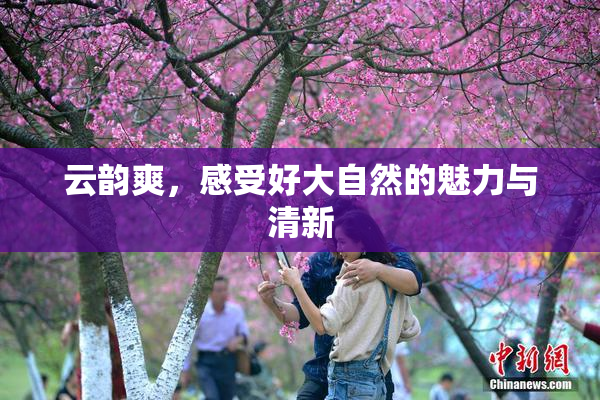 云韵爽，感受好大自然的魅力与清新