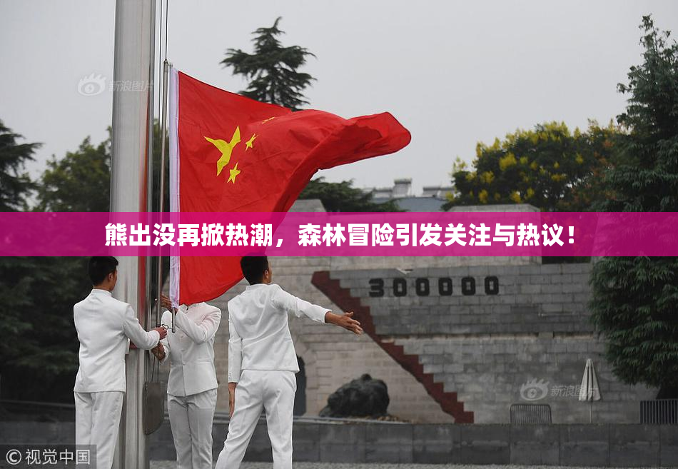 熊出没再掀热潮，森林冒险引发关注与热议！