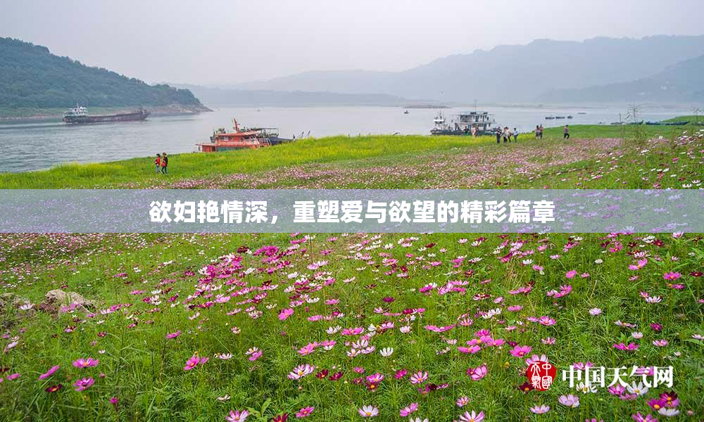欲妇艳情深，重塑爱与欲望的精彩篇章