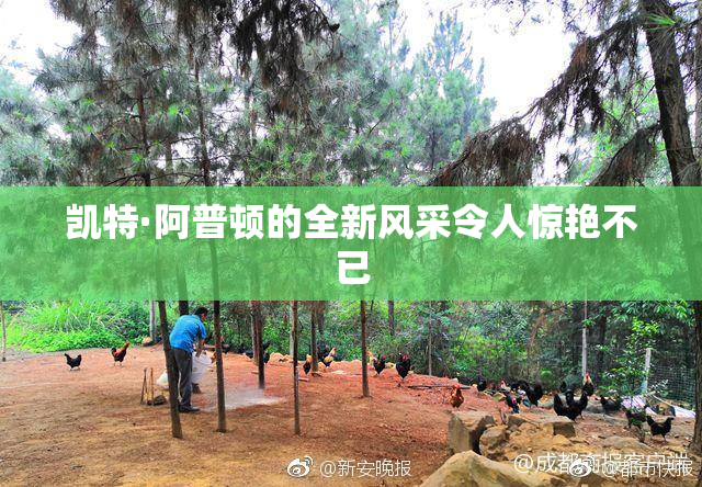凯特·阿普顿的全新风采令人惊艳不已