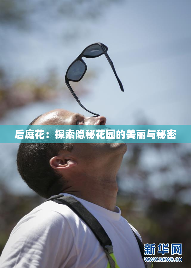 后庭花：探索隐秘花园的美丽与秘密