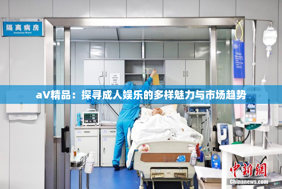 aV精品：探寻成人娱乐的多样魅力与市场趋势