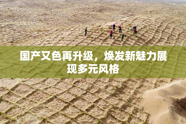 国产又色再升级，焕发新魅力展现多元风格