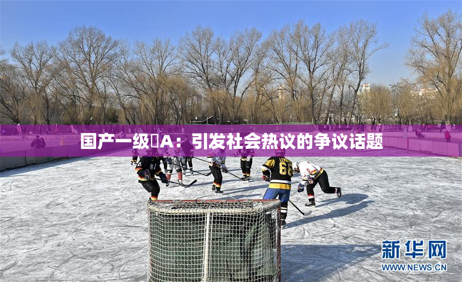 国产一级婬A：引发社会热议的争议话题