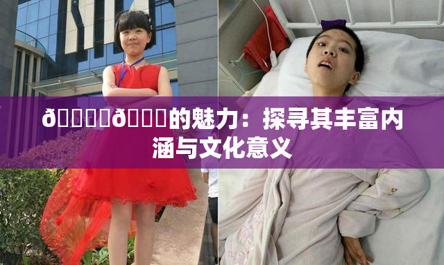 🔞‌🍌的魅力：探寻其丰富内涵与文化意义