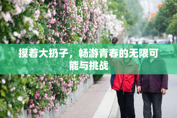 摸着大扔子，畅游青春的无限可能与挑战