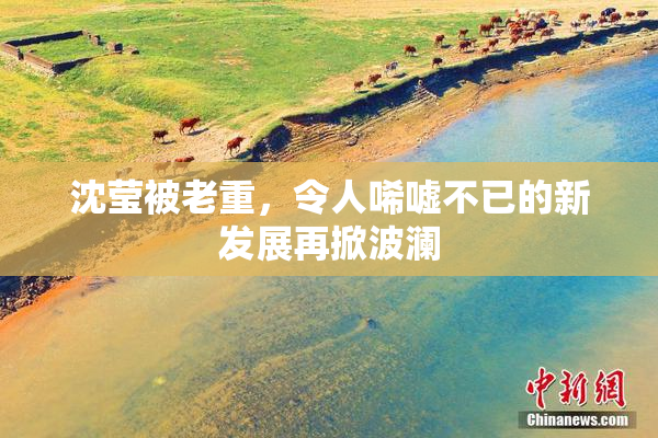 沈莹被老重，令人唏嘘不已的新发展再掀波澜