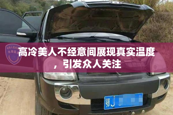 高冷美人不经意间展现真实温度，引发众人关注