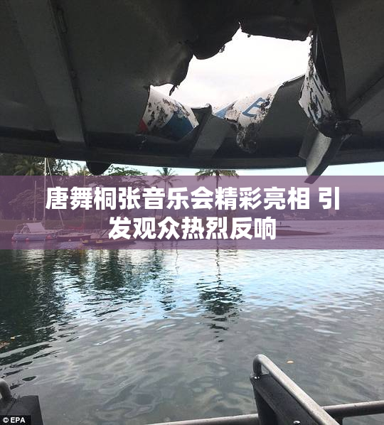 唐舞桐张音乐会精彩亮相 引发观众热烈反响