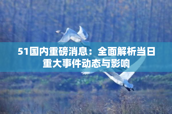 51国内重磅消息：全面解析当日重大事件动态与影响