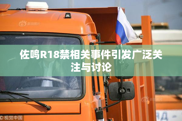 佐鸣R18禁相关事件引发广泛关注与讨论