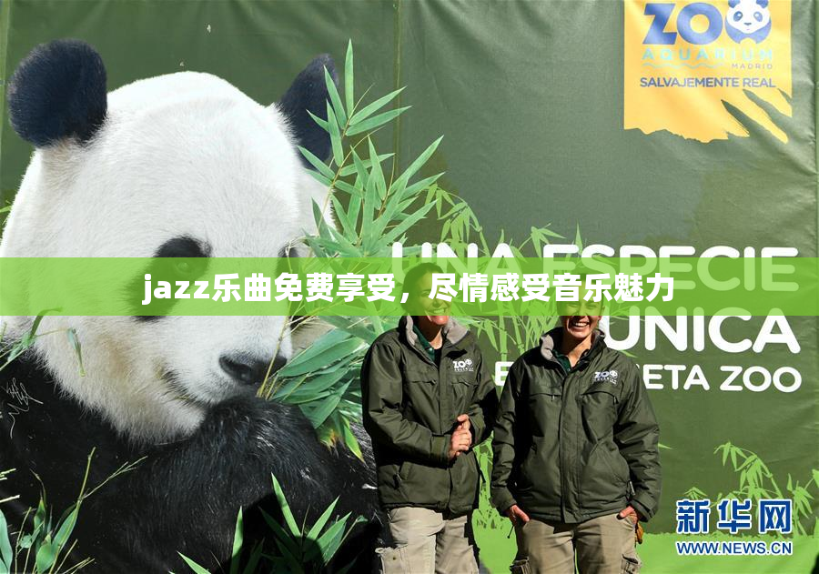 jazz乐曲免费享受，尽情感受音乐魅力