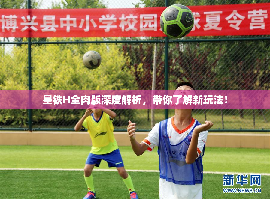 星铁H全肉版深度解析，带你了解新玩法！