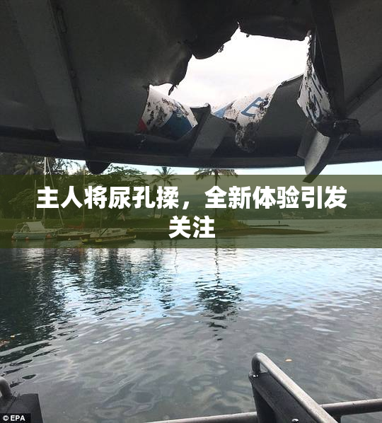 主人将尿孔揉，全新体验引发关注