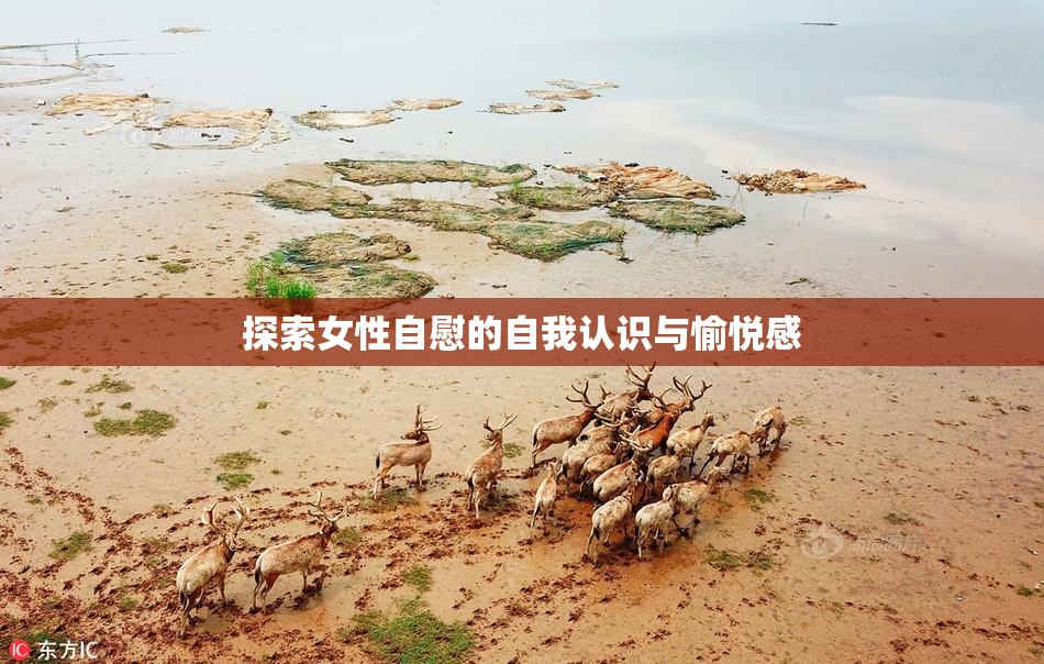 探索女性自慰的自我认识与愉悦感