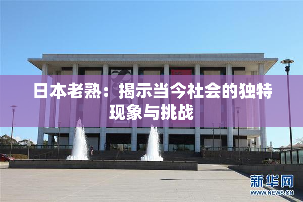 日本老熟：揭示当今社会的独特现象与挑战