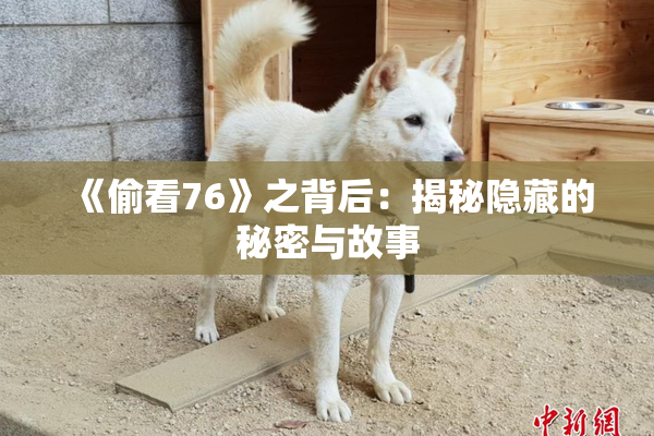 《偷看76》之背后：揭秘隐藏的秘密与故事
