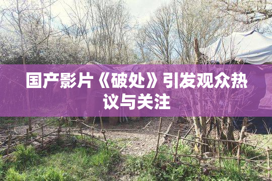 国产影片《破处》引发观众热议与关注
