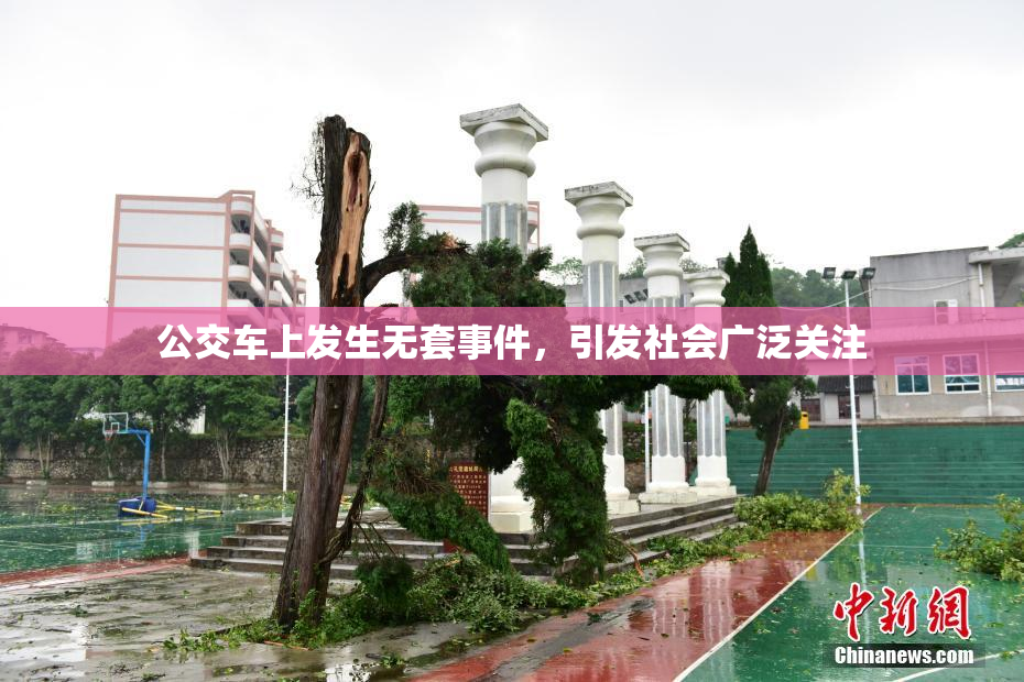 公交车上发生无套事件，引发社会广泛关注