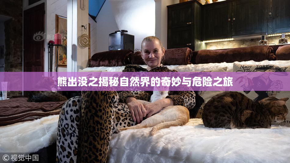 熊出没之揭秘自然界的奇妙与危险之旅