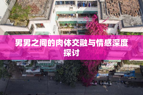 男男之间的肉体交融与情感深度探讨