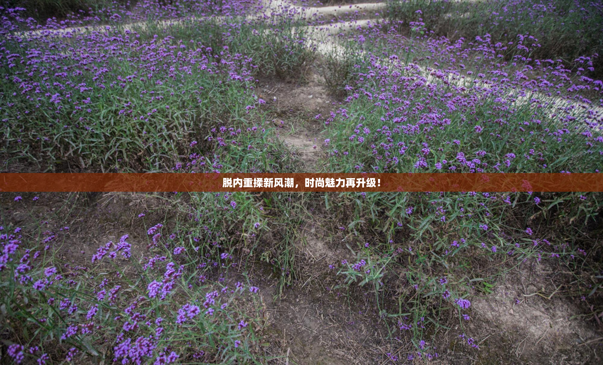脱内重揉新风潮，时尚魅力再升级！