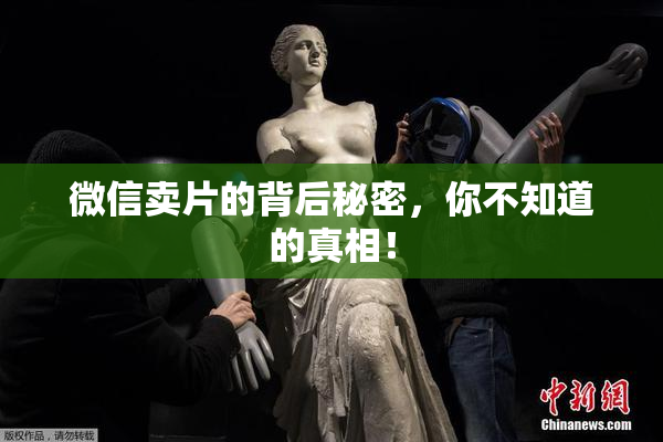 微信卖片的背后秘密，你不知道的真相！
