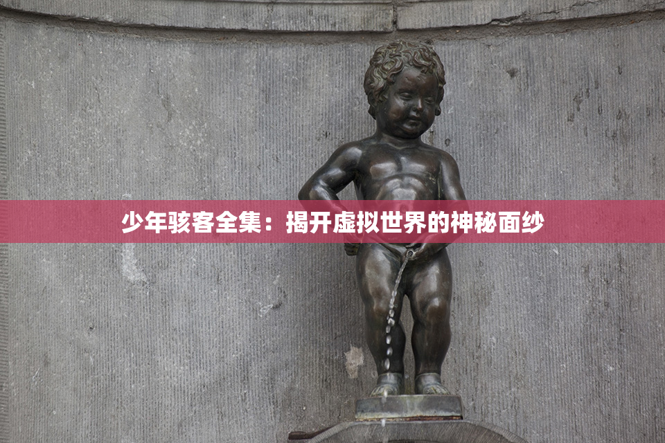 少年骇客全集：揭开虚拟世界的神秘面纱