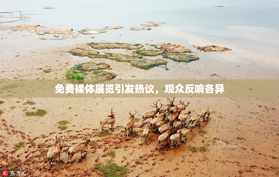 免费裸体展览引发热议，观众反响各异