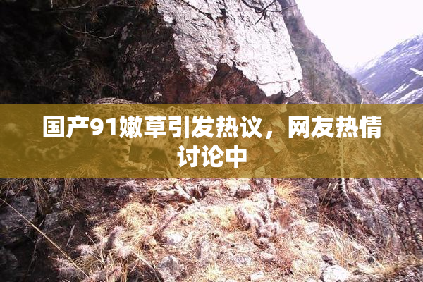 国产91嫩草引发热议，网友热情讨论中