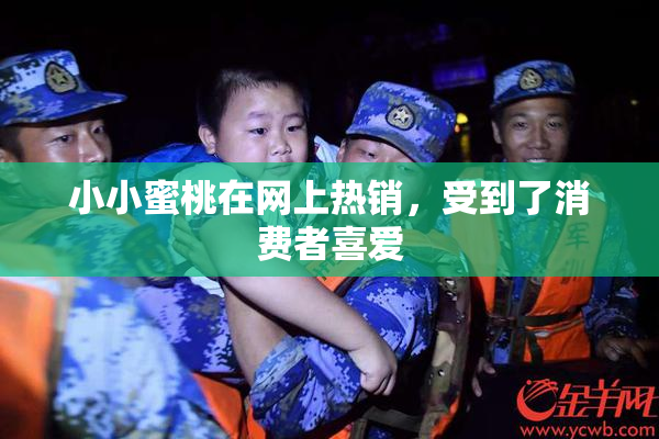 小小蜜桃在网上热销，受到了消费者喜爱