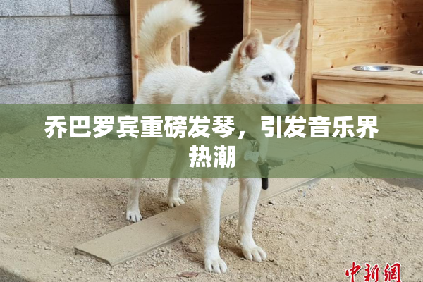 乔巴罗宾重磅发琴，引发音乐界热潮
