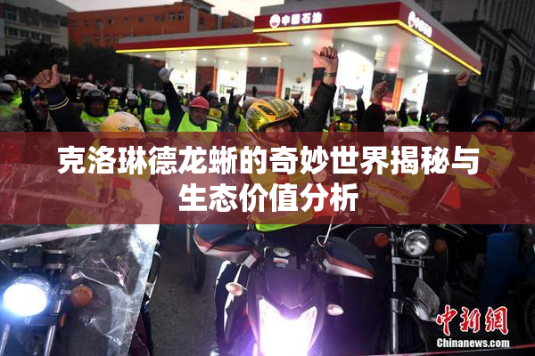克洛琳德龙蜥的奇妙世界揭秘与生态价值分析