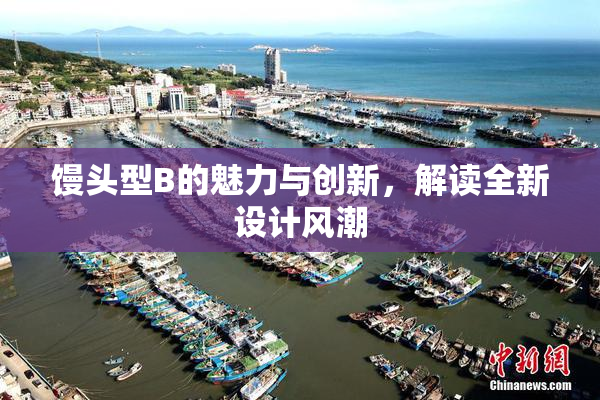 馒头型B的魅力与创新，解读全新设计风潮