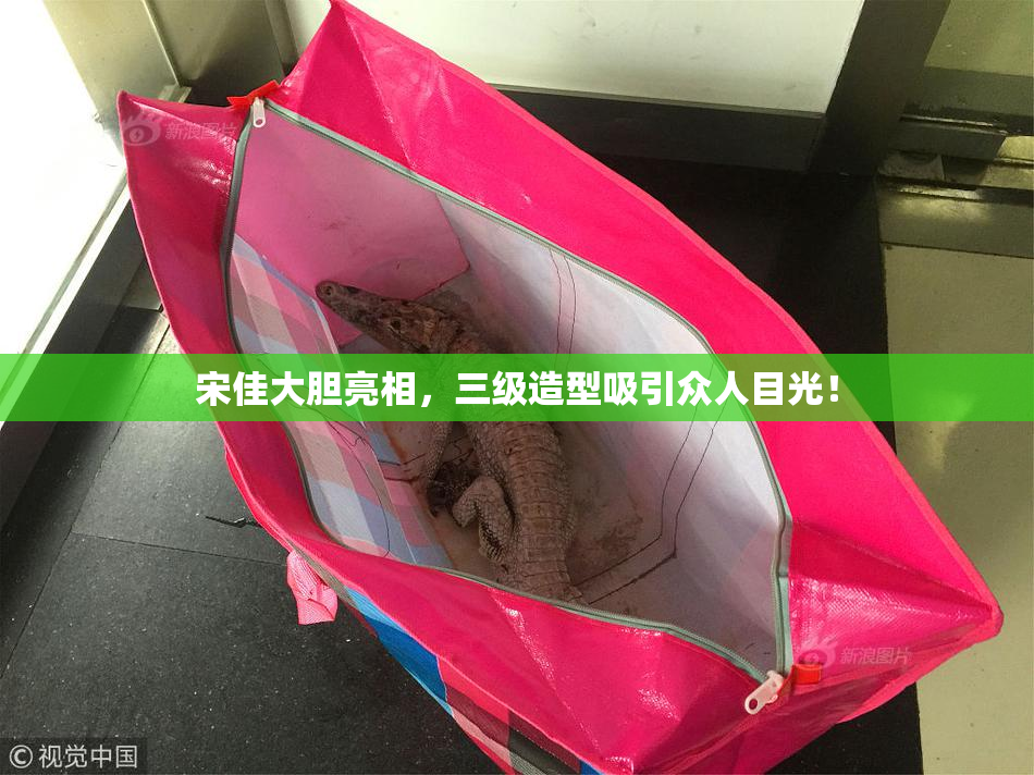 宋佳大胆亮相，三级造型吸引众人目光！