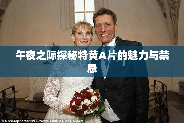 午夜之际探秘特黄A片的魅力与禁忌