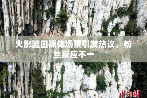 火影雏田裸体场景引发热议，粉丝反应不一
