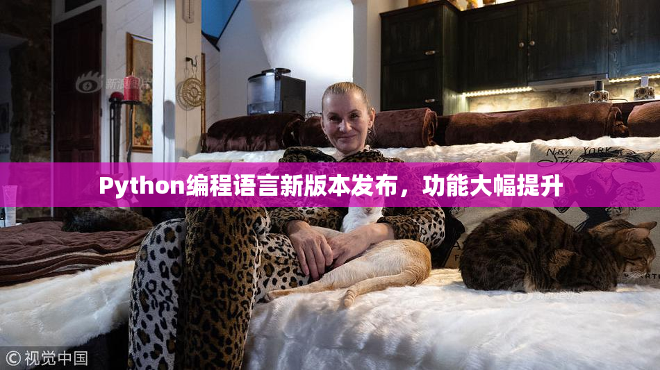 Python编程语言新版本发布，功能大幅提升