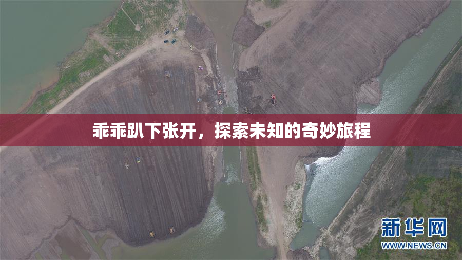 乖乖趴下张开，探索未知的奇妙旅程